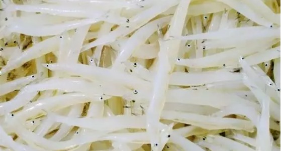 昭平湖之购1