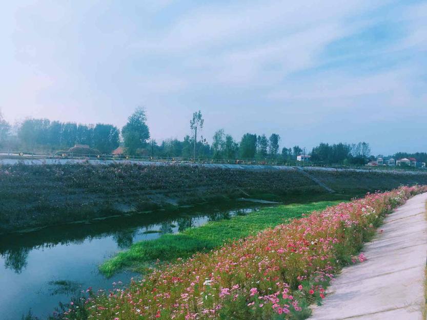 河道治理